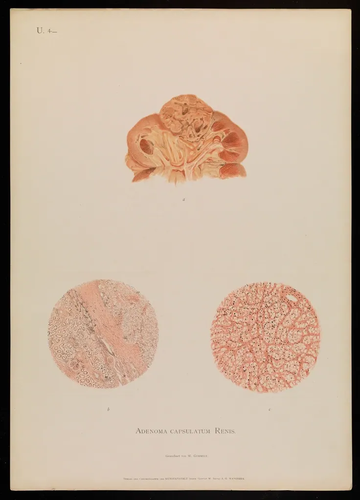 Ett laboratorium